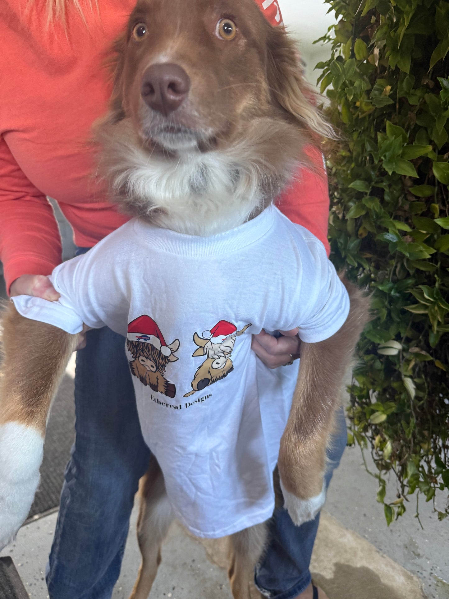 Lil Buffalos Kids T Shirt