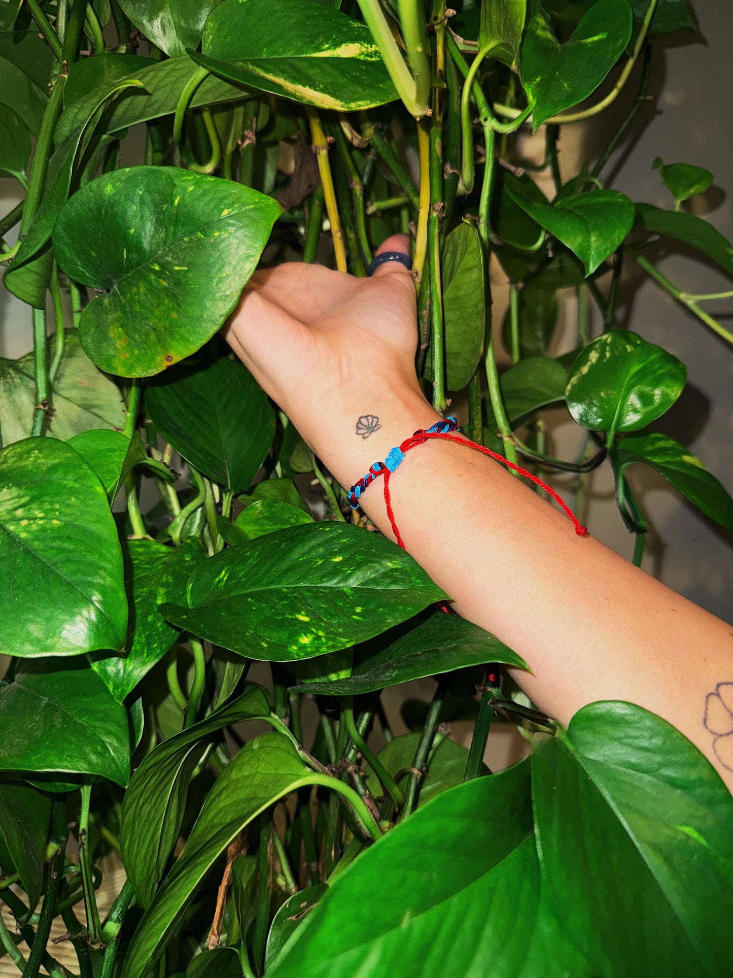 Battle Ship Cove 📍