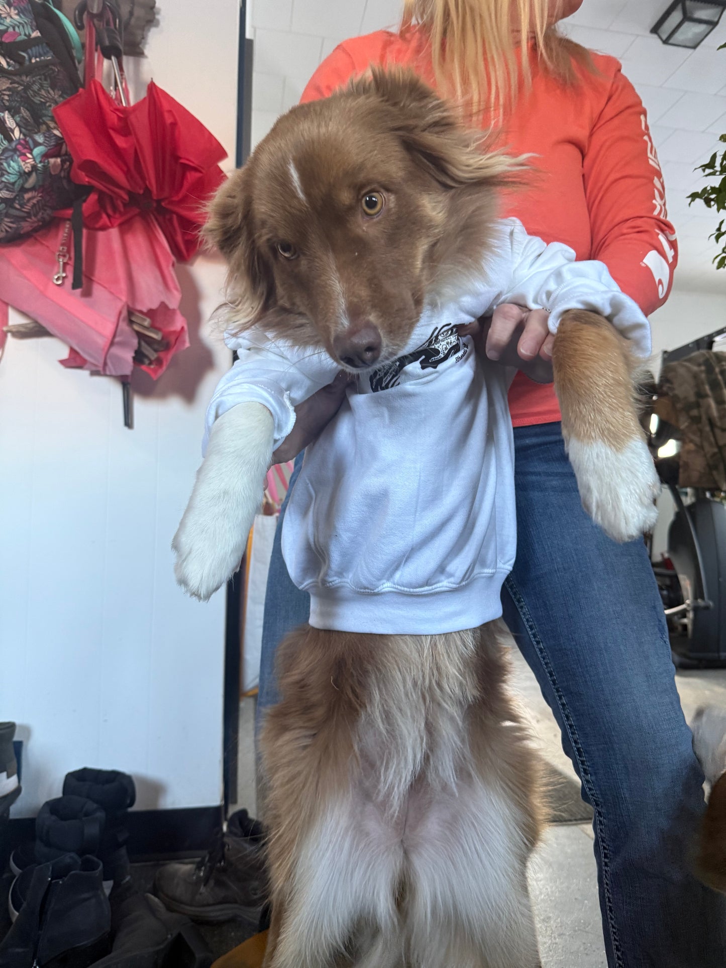 Lets Go Buffalo Kids T Shirt