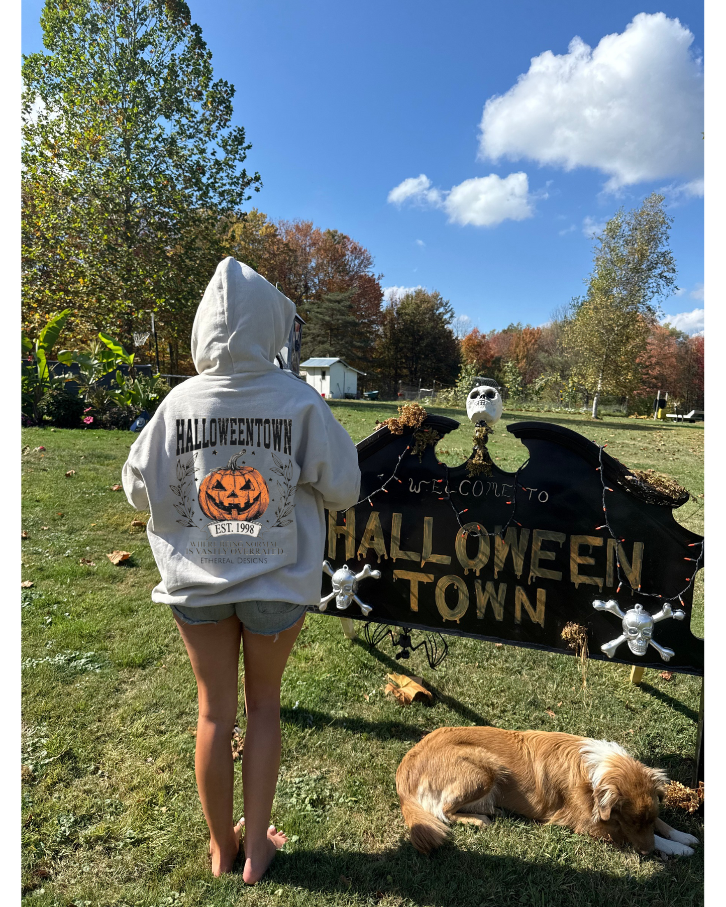 Vastly Overrated Hoodie