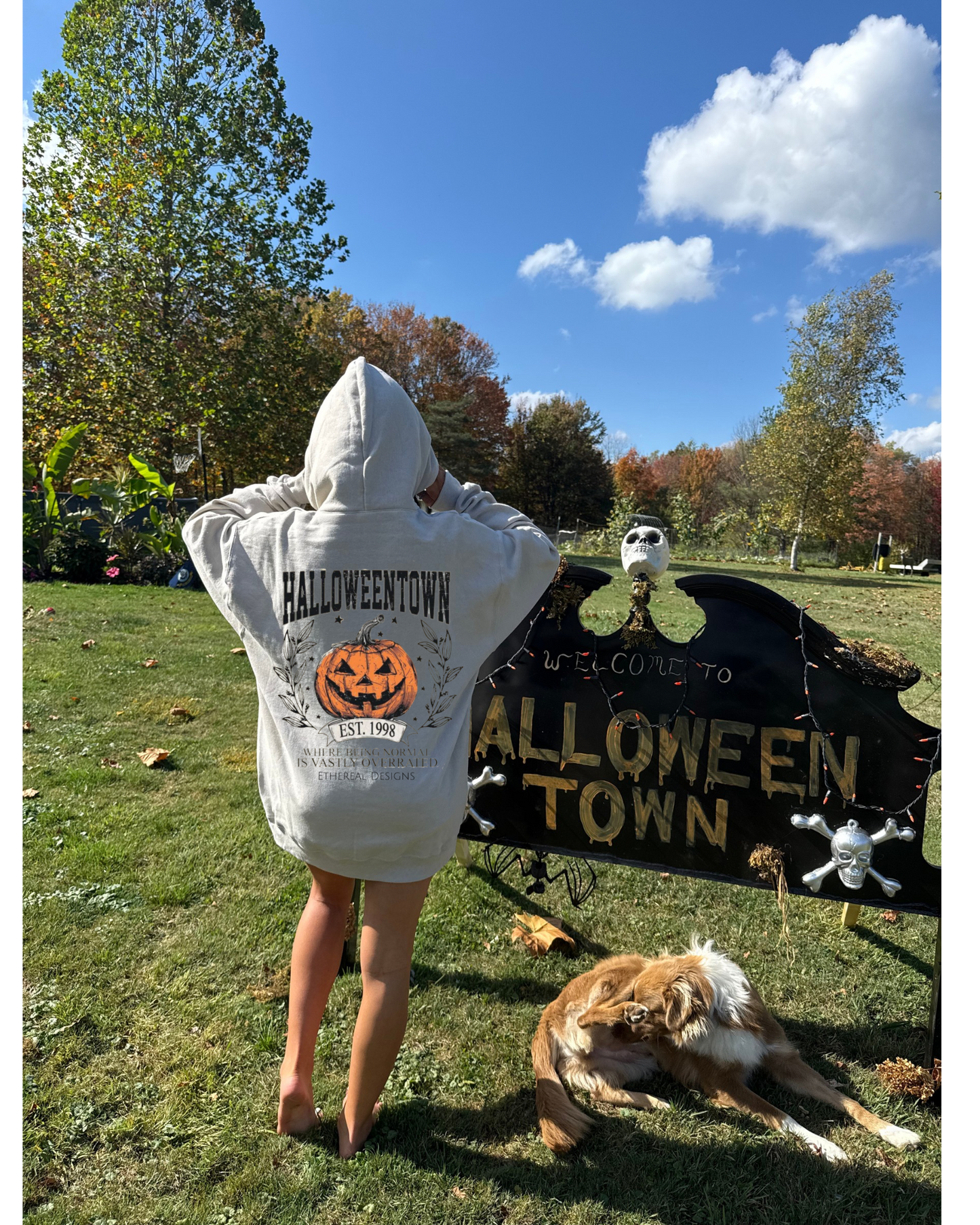 Vastly Overrated Hoodie