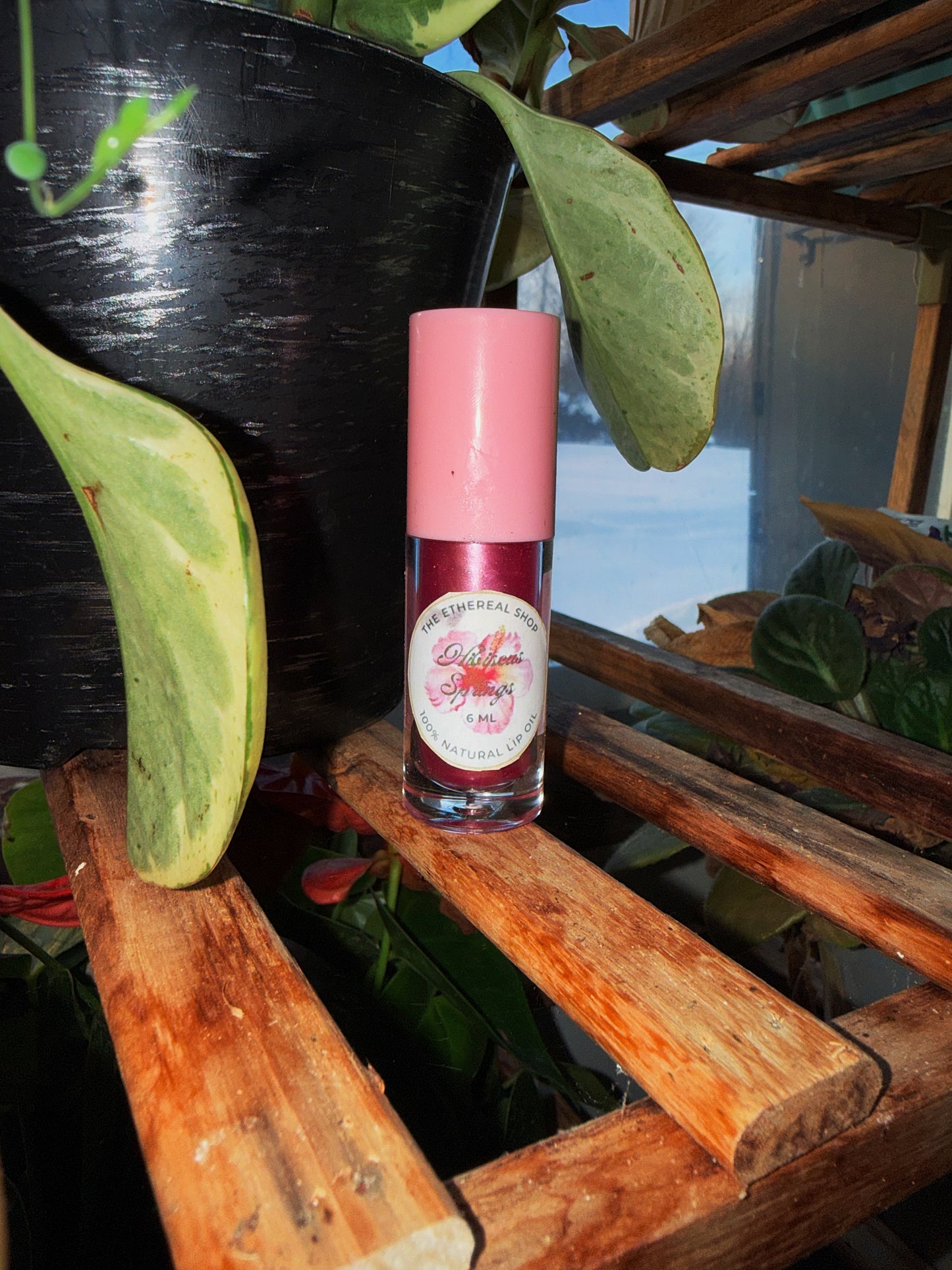 Hibiscus Springs Lip Gloss