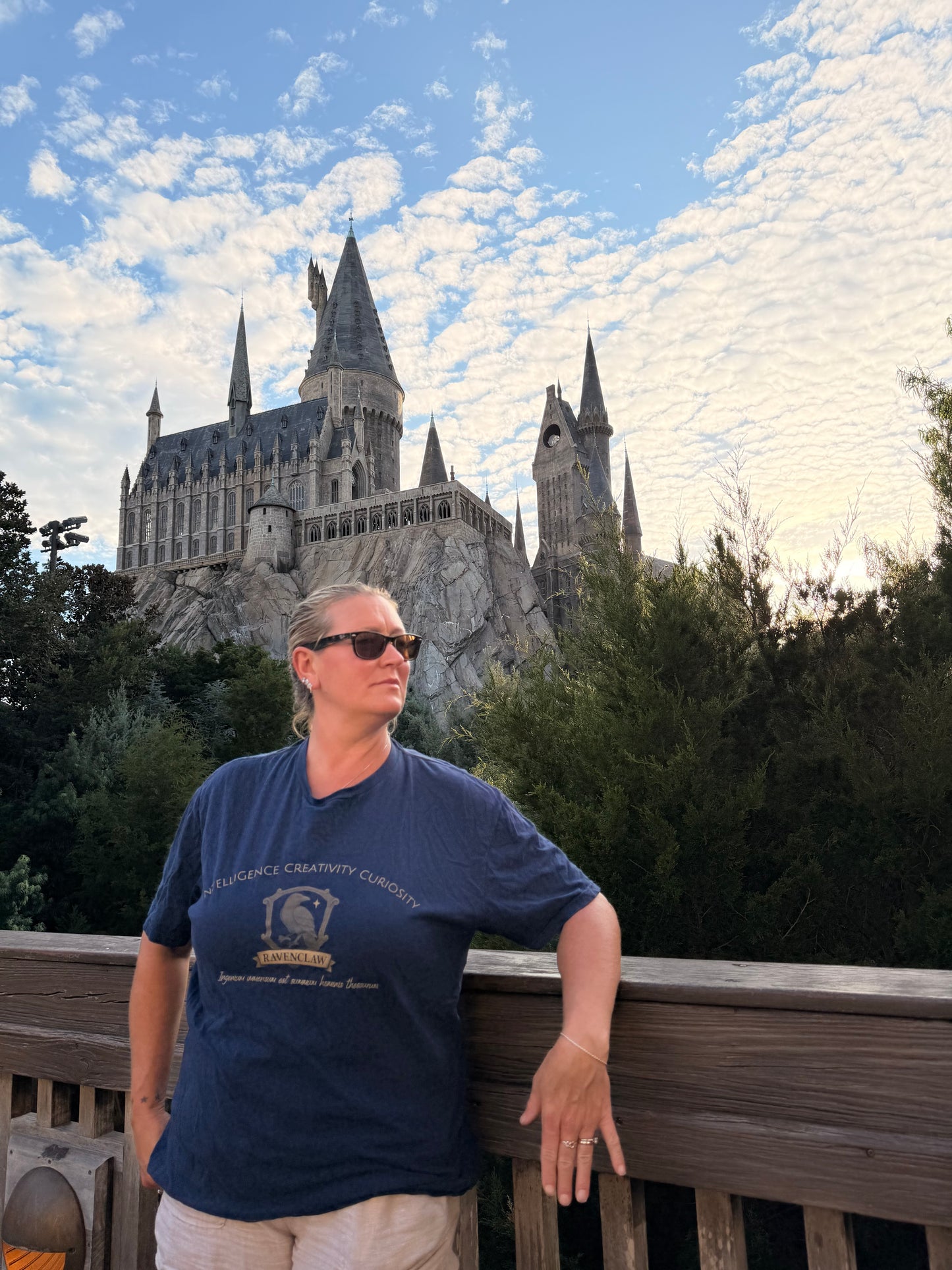 Ravenclaw House T Shirt