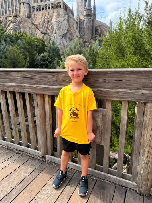 Kids Hogwarts House Shirts