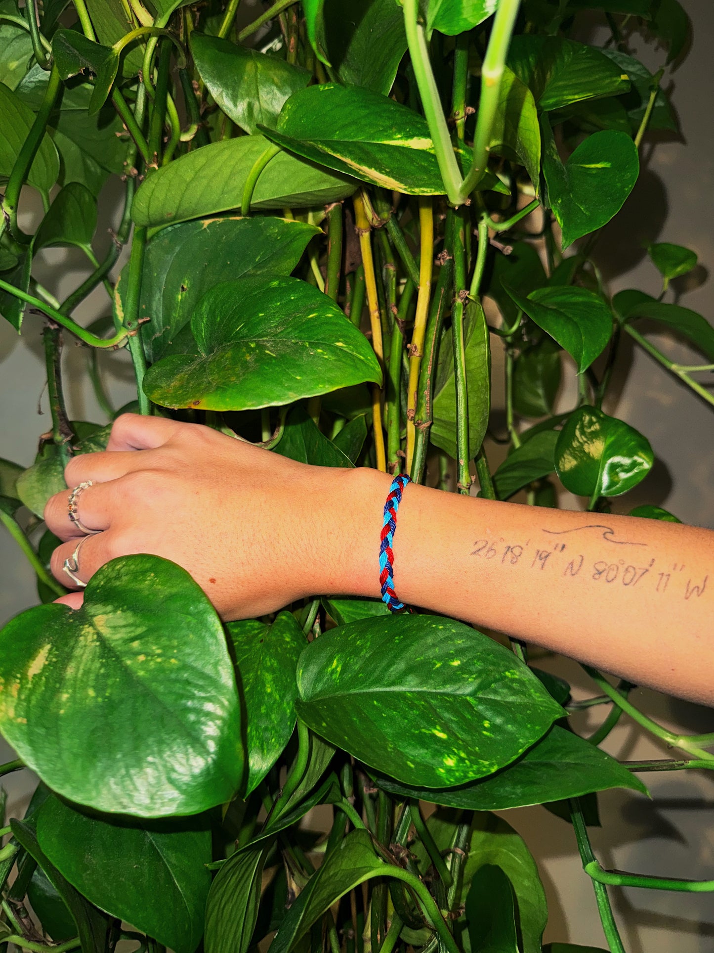 Battle Ship Cove 📍