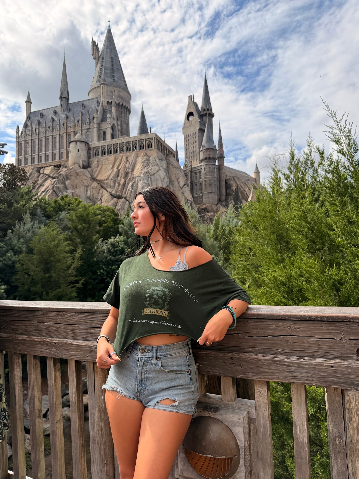 Slytherin House T Shirt