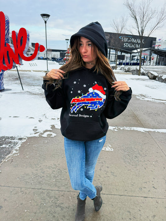 Christmas To Snow…Lets Go Buffalo!